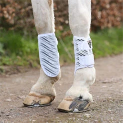 2023 Equilibrium Tri-Zone Brushing Boot 8546 - White Colour White 5 2023 Equilibrium Tri-Zone Brushing Boot 8546 - White Colour White -Equestrian Clothing Sales 5585 202320Equilibrium20Tri Zone20Brushing20Boot20854620 20White20Lifestyle2022.700x700