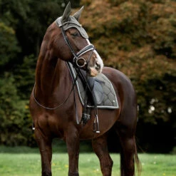 2022 PS Of Sweden Signature Dressage Cotton Saddle Pad 1110-022 - Forest Green -Equestrian Clothing Sales 5637 202220PS20Of20Sweden20Signature20Dressage20Cotton20Saddle20Pad201110 02220 2020Forest20Green20Lifestyle203.700x700