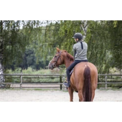 2023 Ariat Womens Breathe 1/2 Zip Sweatshirt 10043391 - Beetle -Equestrian Clothing Sales 5884 S23 WMS ENGL EnglishTraining040 Reitsportgalerie.700x700