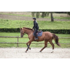 2023 Ariat Womens Breathe Eos Half Grip Recycled Materials Tights 10043401 - Black Colour Black -Equestrian Clothing Sales 5891 S23 WMS ENGL EnglishTraining033 Reitsportgalerie.700x700