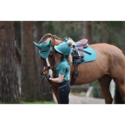 2023 Weatherbeeta Womens Prime Short Sleeve Top 101906000 - Green Colour Green 7 2023 Weatherbeeta Womens Prime Short Sleeve Top 101906000 - Green Colour Green -Equestrian Clothing Sales 5971 1019060000 1009482000 GREEN WB Prime SS Image3 Null Hero1.700x700