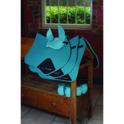 2023 Weatherbeeta Prime Ear Bonnet 1000071 - Turquoise Colour Turquoise -Equestrian Clothing Sales 5981 815062 815070 815054 815078 803089.700x700