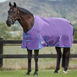 2023 Weatherbeeta Comfitec Essential Standard Neck Lite 100042107 - Violet / Blue -Equestrian Clothing Sales 5995 202320Weatherbeeta20Comfitec20Essential20Standard20Neck20Lite2010004210720 20Violet20Blue20Lifestyle201.700x700