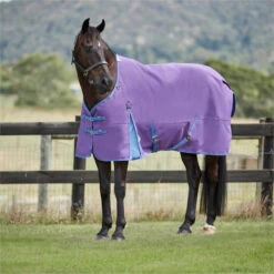 2023 Weatherbeeta Comfitec Essential Standard Neck Lite 100042107 - Violet / Blue -Equestrian Clothing Sales 5995 202320Weatherbeeta20Comfitec20Essential20Standard20Neck20Lite2010004210720 20Violet20Blue20Lifestyle202.700x700
