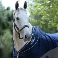 2023 Weatherbeeta Thermo-Air Cooler Sheet Standard Neck 10189250 - Navy / Grey -Equestrian Clothing Sales 6000 202320Weatherbeeta20Thermo Air20Cooler20Sheet20Standard20Neck201018925020 20Navy2020Grey20worn202.700x700