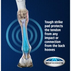 2023 Weatherbeeta Eventing Front Boots 8076 - Black -Equestrian Clothing Sales 6030 WB20Cross20Country20FR20Boots Graphic.700x700