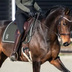 2023 PS Of Sweden Elite Dressage Saddle Pad 1110038665 - Dark Green -Equestrian Clothing Sales 6074 202320PS20of20Sweden20Elite20Dressage20Saddle20Pad20111003866520 20Dark20Green20Lifestyle.700x700