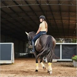 2023 Dublin Womens Kylee Short Sleeve Shirt II 10055250 - Butter Colour Butter -Equestrian Clothing Sales 6112 9f83be1f911b2aa3b979a8569c535749.700x700