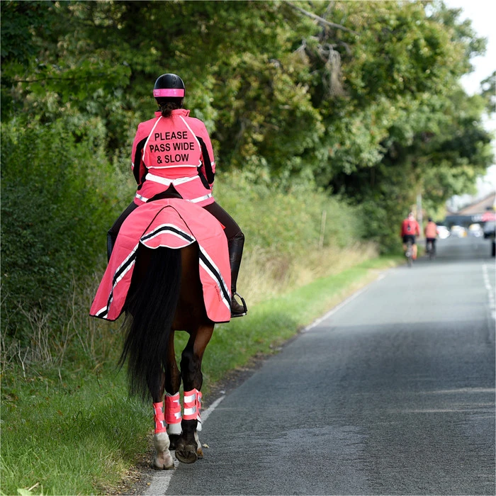 2023 Equisafety Hi-Vis Waterproof Wrap Around Exercise Rug WRUG - Pink 5 2023 Equisafety Hi-Vis Waterproof Wrap Around Exercise Rug WRUG - Pink - Image 3