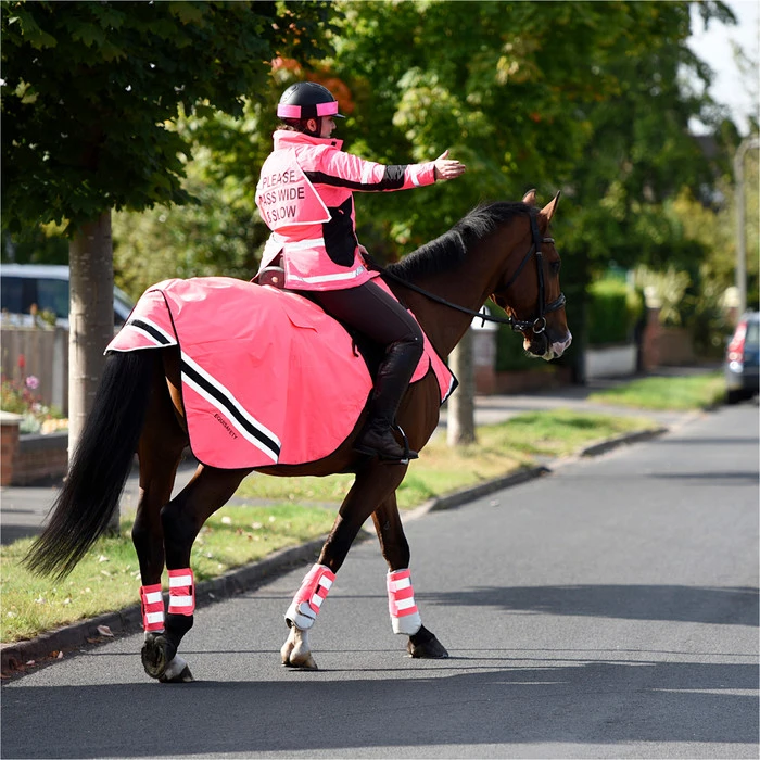 2023 Equisafety Hi-Vis Waterproof Wrap Around Exercise Rug WRUG - Pink 4 2023 Equisafety Hi-Vis Waterproof Wrap Around Exercise Rug WRUG - Pink - Image 2