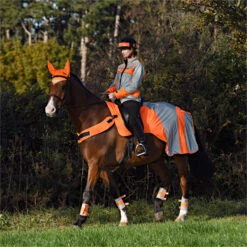 2023 Equisafety Mercury Reflective Exercise Rug MRUG-RO - Orange Colour Orange -Equestrian Clothing Sales 6121 202320Equisafety20Mercury20Reflective20Exercise20Rug20MRUG RO20 20Orange 20Lifestyle.700x700