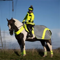 2023 Equisafety Mercury Reflective Exercise Rug MRUG-RO - Yellow Colour Yellow -Equestrian Clothing Sales 6122 202320Equisafety20Mercury20Reflective20Exercise20Rug20MRUG RO20 20Yellow 20Lifestyle202.700x700