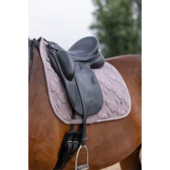 2023 HV Polo Jenna Dressage Saddle Pad 802093502 - Espresso Colour Espresso -Equestrian Clothing Sales 6152 203A6684.700x700