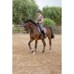 2023 HV Polo Jenna Dressage Saddle Pad 802093502 - Espresso Colour Espresso -Equestrian Clothing Sales 6152 203A6760.700x700