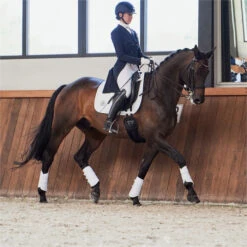 2023 Eskadron Highgloss Peacock Saddle Cloth 214731 544 - White Colour White -Equestrian Clothing Sales 6273 202320Eskadron20Highgloss20Peacock20Saddle20Cloth202147312054420 20White20Lifestyle203.700x700