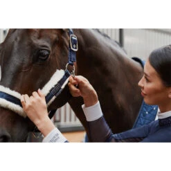 2023 Eskadron Double Pin Matt Gloss Evo-Wool Headcollar 420831 838 - Navy -Equestrian Clothing Sales 6288 esk 0123 kam 420831 838 380 add1.700x700
