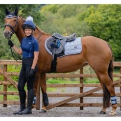 2023 Woof Wear Club Brushing Boots WB0003 - Black / Porcelain Blue Colour Black/Porcelain Blue 7 2023 Woof Wear Club Brushing Boots WB0003 - Black / Porcelain Blue Colour Black/Porcelain Blue -Equestrian Clothing Sales 6306 Porcelain202.700x700