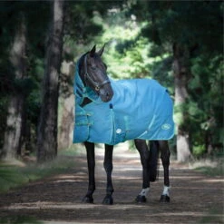 2023 Weatherbeeta Green-Tec 1200D Detach-A-Neck Lite Plus Turnout Rug - Dragonfly Blue / Bottle Green 9 2023 Weatherbeeta Green-Tec 1200D Detach-A-Neck Lite Plus Turnout Rug - Dragonfly Blue / Bottle Green -Equestrian Clothing Sales 6379 202320Weatherbeeta20Green Tec201200D20Detach A Neck20Lite20Plus20Turnout20Rug20 20Dragonfly20Blue202.700x700