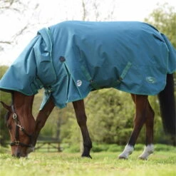 2023 Weatherbeeta Green-Tec 1200D Detach-A-Neck Lite Plus Turnout Rug - Dragonfly Blue / Bottle Green 8 2023 Weatherbeeta Green-Tec 1200D Detach-A-Neck Lite Plus Turnout Rug - Dragonfly Blue / Bottle Green -Equestrian Clothing Sales 6379 202320Weatherbeeta20Green Tec201200D20Detach A Neck20Lite20Plus20Turnout20Rug20 20Dragonfly20Blue203.700x700
