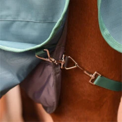 2023 Weatherbeeta Green-Tec Standard Neck Medium / Lite Stable Liner 1021797 - Grey 12 2023 Weatherbeeta Green-Tec Standard Neck Medium / Lite Stable Liner 1021797 - Grey -Equestrian Clothing Sales 6381 202320Weatherbeeta20Green Tec20Standard20Neck20Medium2020Lite20Stable20Liner20102179720 20Grey20206.700x700