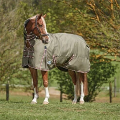 2023 Weatherbeeta Comfitec Essential Combo Neck Medium Turnout Rug 10004151 - Olive Green / Burgundy / White Colour Olive Green / Burgundy / White -Equestrian Clothing Sales 6385 202320Weatherbeeta20Comfitec20Essential20Combo20Neck20Medium20Turnout20Rug201000415120 20Olive20Green2020Burgundy2020White202.700x700