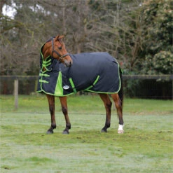 2023 Weatherbeeta Comfitec Classic Combo Neck Medium Turnout Rug 1000423 - Black / Lime Green Colour Black/Lime Green -Equestrian Clothing Sales 6387 202320Weatherbeeta20Comfitec20Classic20Combo20Neck20Medium20Turnout20Rug20100042320 20Black20Lime20Green20202.700x700