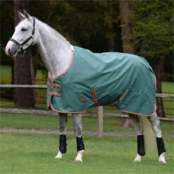2023 Weatherbeeta Comfitec Tyro Combo Neck Medium Turnout Rug 1021798 - Green / Burnt Orange / White -Equestrian Clothing Sales 6388 202320Weatherbeeta20Comfitec20Tyro20Combo20Neck20Medium20Turnout20Rug20102179820 20Green2020Burnt20Orange2020White202.700x700