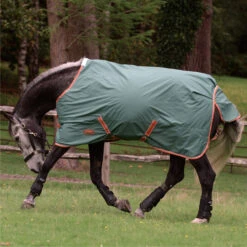 2023 Weatherbeeta Comfitec Tyro Combo Neck Medium Turnout Rug 1021798 - Green / Burnt Orange / White -Equestrian Clothing Sales 6388 202320Weatherbeeta20Comfitec20Tyro20Combo20Neck20Medium20Turnout20Rug20102179820 20Green2020Burnt20Orange2020White203.700x700