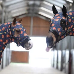 2023 Weatherbeeta Stretch Hood With Zip 589536 - Squirrel Print -Equestrian Clothing Sales 6394 202320Weatherbeeta20Stretch20Hood20With20Zip2058953620 20Squirrel20Print201.700x700