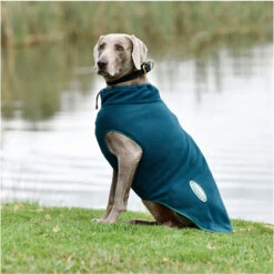 2023 Weatherbeeta Green-Tec Fleece Zip Dog Coat 1021808 - Dragonfly Blue / Bottle Green -Equestrian Clothing Sales 6510 202320Weatherbeeta20Green Tec20Fleece20Zip20Dog20Coat20102180820 20Dragonfly20Blue202020Bottle20Green202.700x700