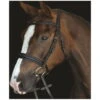 2022 Collegiate Mono Crown Padded Raised Cavesson Bridle 80088 - Brown Colour Brown -Equestrian Clothing Sales 68c3a49927c5db4c8773d76720c80f2a.700x700