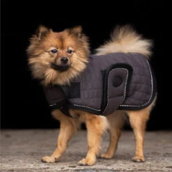 2023 HV Polo Franka Dog Coat 2404093456 - Dark Taupe -Equestrian Clothing Sales 6914 202320HV20Polo20Franka20Dog20Coat20240409345620 20Dark20Taupe203.700x700