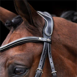 2023 HV Polo Legacy Bridle 1201093500 - Black Colour Black -Equestrian Clothing Sales 6920 202320HV20Polo20Legacy20Bridle20120109350020 20Black202.700x700