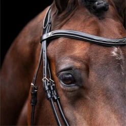 2023 HV Polo Legacy Bridle 1201093500 - Black Colour Black -Equestrian Clothing Sales 6920 202320HV20Polo20Legacy20Bridle20120109350020 20Black203.700x700