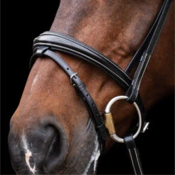 2023 HV Polo Legacy Bridle 1201093500 - Black Colour Black -Equestrian Clothing Sales 6920 202320HV20Polo20Legacy20Bridle20120109350020 20Black204.700x700