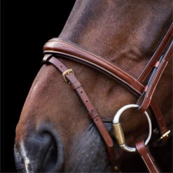2023 HV Polo Legacy Bridle 1201093500 - Brown Colour Brown -Equestrian Clothing Sales 6921 202320HV20Polo20Legacy20Bridle20120109350020 20Brown204.700x700