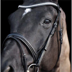 2023 HV Polo Legacy Deluxe Bridle 1201093501 - Black Colour Black 11 2023 HV Polo Legacy Deluxe Bridle 1201093501 - Black Colour Black -Equestrian Clothing Sales 6923 202320HV20Polo20Legacy20Deluxe20Bridle20120109350120 20Black204.700x700