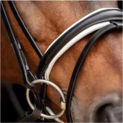 2023 HV Polo Legacy Deluxe Bridle 1201093501 - Black / White Colour Black/White -Equestrian Clothing Sales 6924 202320HV20Polo20Legacy20Deluxe20Bridle20120109350120 20Black20White20A3.700x700