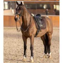 2023 HV Polo Franka Tendon And Fetlock Boots Set 2802093452 - Mocca -Equestrian Clothing Sales 6935 202320HV20Polo20Franka20Tendon20And20Fetlock20Boots20Set20280209345220 20Mocca206.700x700