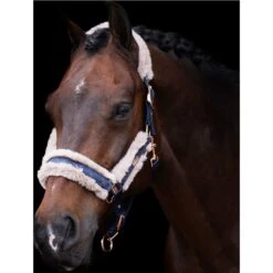 2023 HV Polo Welmoed Shine Headcollar 1601093452 - Navy Colour Navy -Equestrian Clothing Sales 6943 4479fbad1324eab923fa7919ef64bb06ef5a2bbd 1601093452 5001 mfront.700x700