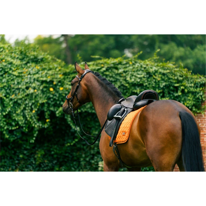 2023 HV Polo Dorian Dressage Saddle Pad 802093510 - Ginger Colour Ginger 5 2023 HV Polo Dorian Dressage Saddle Pad 802093510 - Ginger Colour Ginger - Image 3