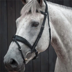 2023 Henry James Saddlery Dressage Bridle HJ-BR-03 - Black Colour Black -Equestrian Clothing Sales 6998 202320Henry20James20Saddlery20Dressage20Bridle20HJ BR 0320 20Black203.700x700