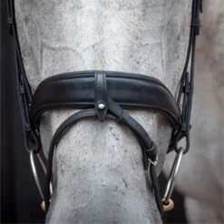 2023 Henry James Saddlery Dressage Bridle HJ-BR-03 - Black Colour Black -Equestrian Clothing Sales 6998 202320Henry20James20Saddlery20Dressage20Bridle20HJ BR 0320 20Black204.700x700