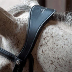 2023 Henry James Saddlery Dressage Bridle HJ-BR-03 - Black Colour Black -Equestrian Clothing Sales 6998 202320Henry20James20Saddlery20Dressage20Bridle20HJ BR 0320 20Black205.700x700