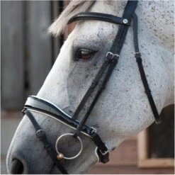 2023 Henry James Saddlery Patent Dressage Bridle With White Padding HJ-BR-07 - Black -Equestrian Clothing Sales 7005 202320Henry20James20Saddlery20Patent20Dressage20Bridle20with20White20Padding20HJ BR 0720 20Black204.700x700