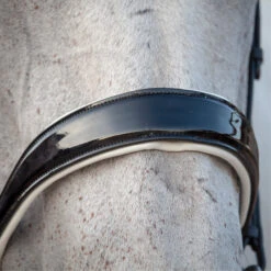 2023 Henry James Saddlery Patent Dressage Bridle With White Padding HJ-BR-07 - Black -Equestrian Clothing Sales 7005 202320Henry20James20Saddlery20Patent20Dressage20Bridle20with20White20Padding20HJ BR 0720 20Black205.700x700