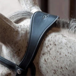 2023 Henry James Saddlery Patent Dressage Bridle With White Padding HJ-BR-07 - Black -Equestrian Clothing Sales 7005 202320Henry20James20Saddlery20Patent20Dressage20Bridle20with20White20Padding20HJ BR 0720 20Black206.700x700