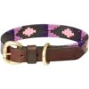 2023 Weatherbeeta Polo Leather Dog Collar 10016990 - Cowdray Brown / Purple Colour Cowdray Brown / Purple -Equestrian Clothing Sales 77e94f12493989c53a9b086fcd2410d0.700x700