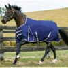 2022 Weatherbeeta Comfitec Essential Lite Standard Neck Turnout Rug - Navy / Silver -Equestrian Clothing Sales 83 1.700x700 1