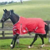 2022 Weatherbeeta Comfitec Classic Lite Standard Neck Turnout Rug - Red / Silver -Equestrian Clothing Sales 852 1.700x700